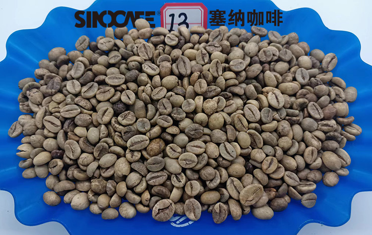 18目湿法抛光越南罗布斯塔精品咖啡米